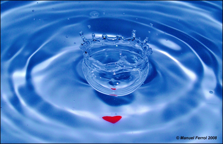 [2280584763_84ddb33c77_o[2].jpg]