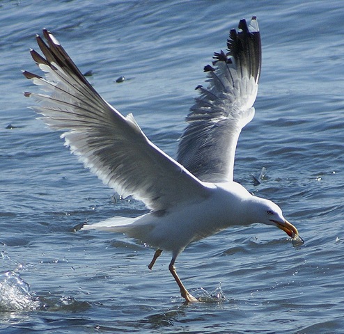 [2563146550_c46481a88d_b[4].jpg]