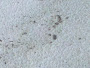 1281979564254