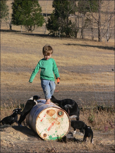 fb drum fb drum