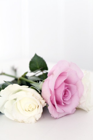 Happy valentine`s day2 Happy valentine`s day2