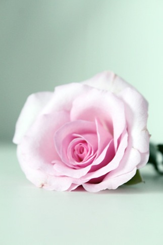 Happy valentine`s day3 Happy valentine`s day3