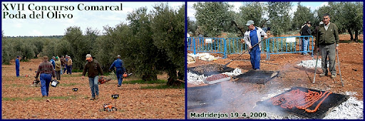 XVII Concurso Comarcal Poda del Olivo 2009