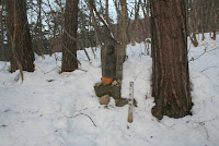 IMG_8347.JPG Photo