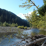 South Fork Skokomish October 2009