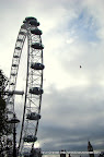 London Eye, Big Ben and a flight of Freedom, Tarun Chandel Photoblog