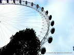 Half a London Eye, Tarun Chandel Photoblog