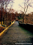 glasgow necropolis tombs, Tarun Chandel Photoblog