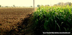 Contrast Nashik Trip, Tarun Chandel Photoblog