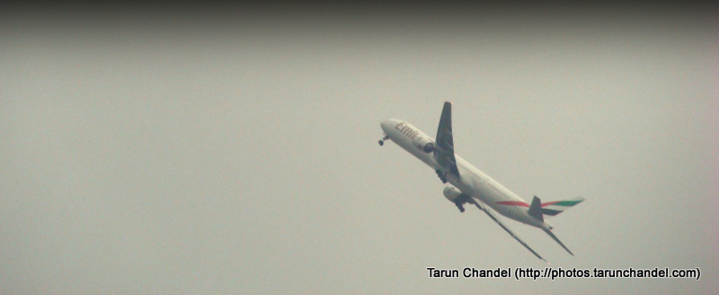 Flight Gone For a Swing, Tarun Chandel Photoblog