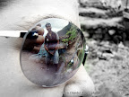 Reflection Glare, Tarun Chandel Photoblog