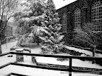 Christmas Snow, Tarun Chandel Photoblog