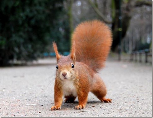 2_thumb%5B1%5D.jpg?imgmax=800