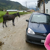 EBDV in Auquimarca