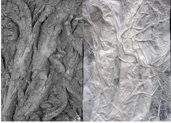 Chapter-3-Texture-and-relief-in-paper-5 Chapter-3-Texture-and-relief-in-paper-5