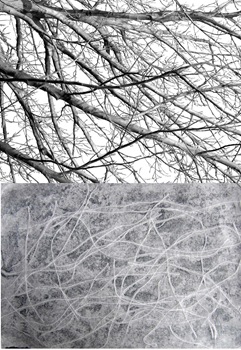 Chapter-3-Texture-and-relief-in-paper-6 Chapter-3-Texture-and-relief-in-paper-6