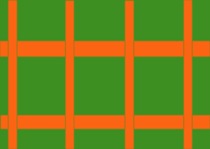 [Orange green contrast[2].jpg]