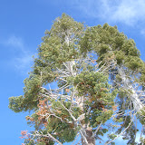 Tahoe - 2011