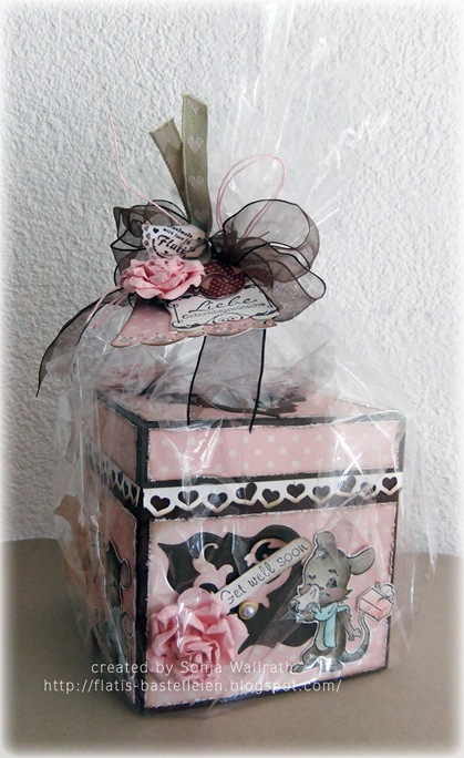 Sonja_tissuebox1 Sonja_tissuebox1