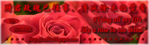 赠君玫瑰已往事