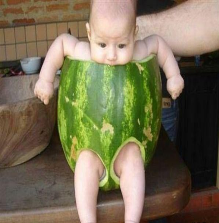 funny dress funny dress