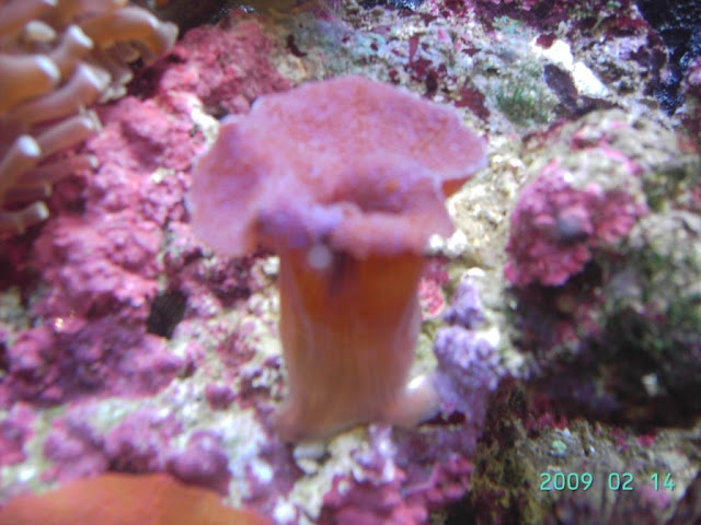 PICT5062.JPG