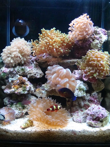 DSC01920.JPG
