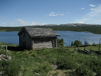 IMG_3336.jpg Photo