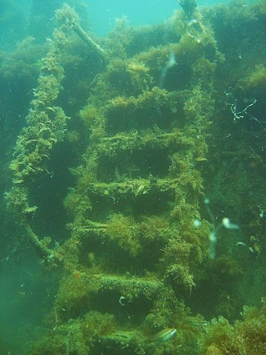Подводные фото Судака Div-12
