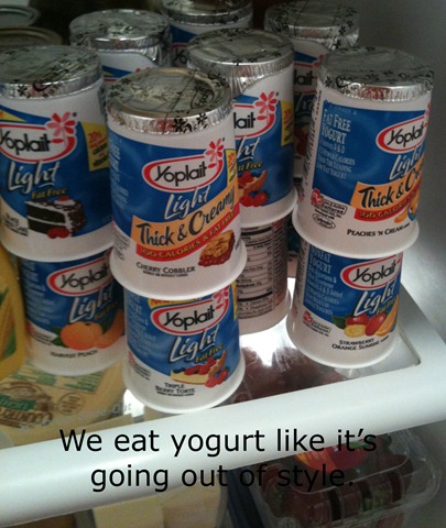 [yogurt[2].jpg]