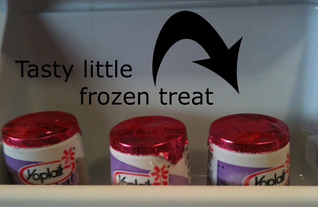 [frozen treat[4].jpg]