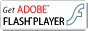 flashplayer flashplayer