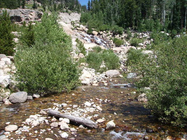 [08202009043.jpg]