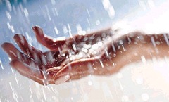 zoom-enquanto-a-chuva-nao-vem...-22 zoom-enquanto-a-chuva-nao-vem...-22