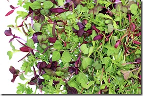 microgreens