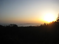 IMG_4794.JPG Photo
