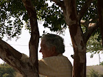 PICT0169.JPG