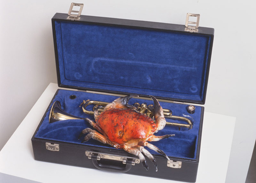 Tempete sous un crabe