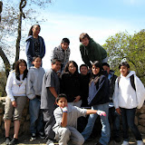 Youth Councils 2008