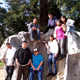 Youth Councils 2010