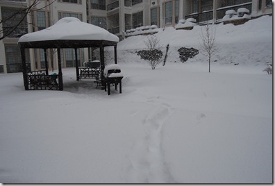 Pizza Snow 075