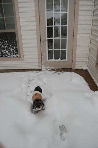 [Pizza Snow 081[6].jpg]