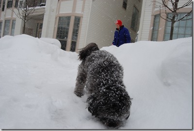 Snow 035
