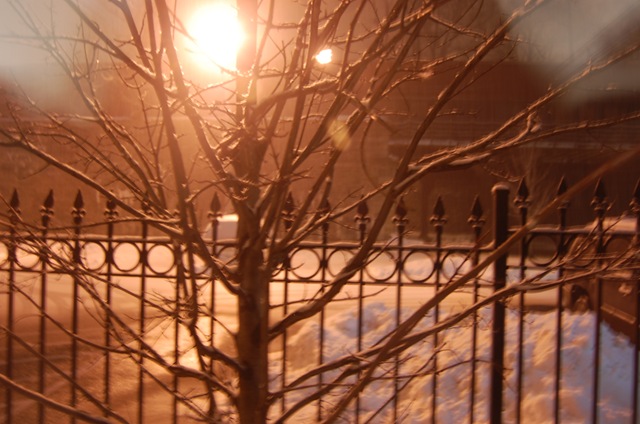 [Snow 121[3].jpg]