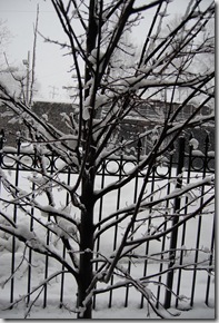 Snow 192