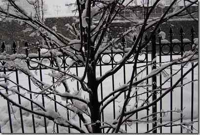Snow 191