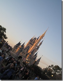 disney 145