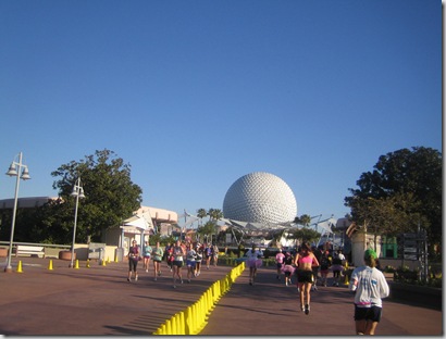 disney 205