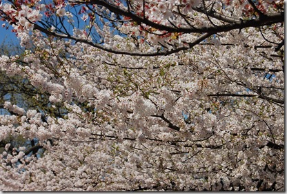 blog 043