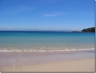 IMG_0957 IMG_0957